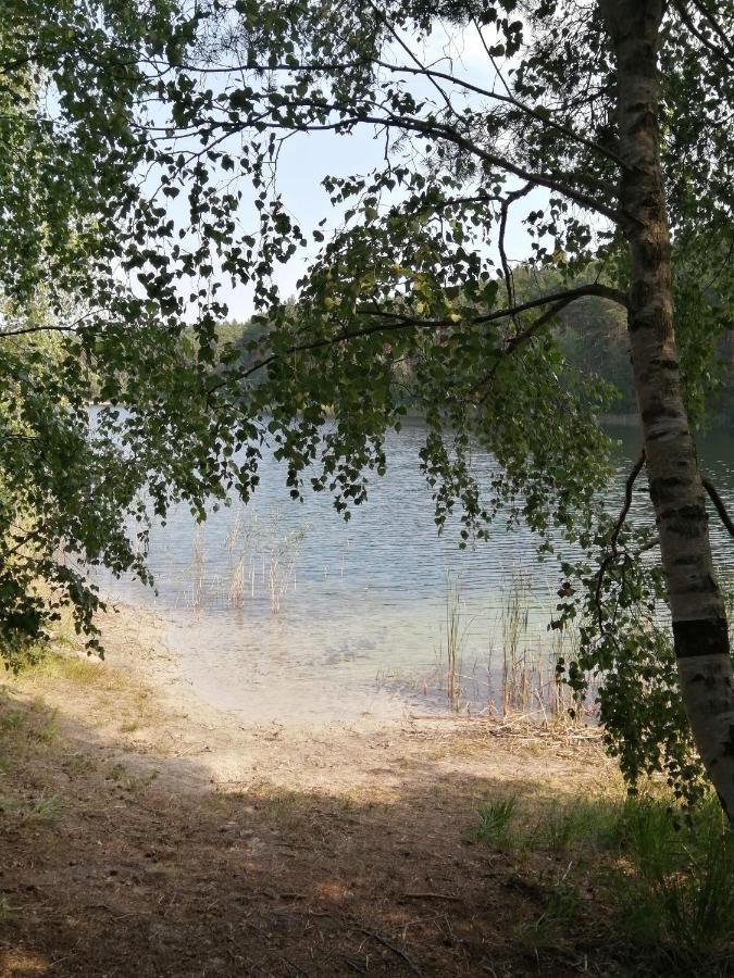 Spreewaldhaeuser Golinski Mit Kamin Am Neuendorfer See Alt Schadow Eksteriør bilde