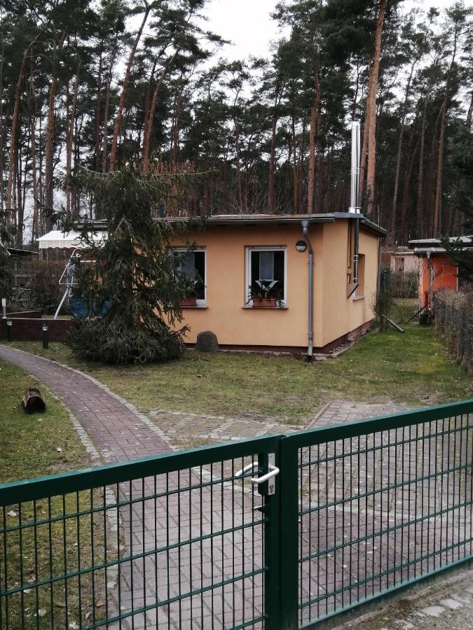Spreewaldhaeuser Golinski Mit Kamin Am Neuendorfer See Alt Schadow Eksteriør bilde