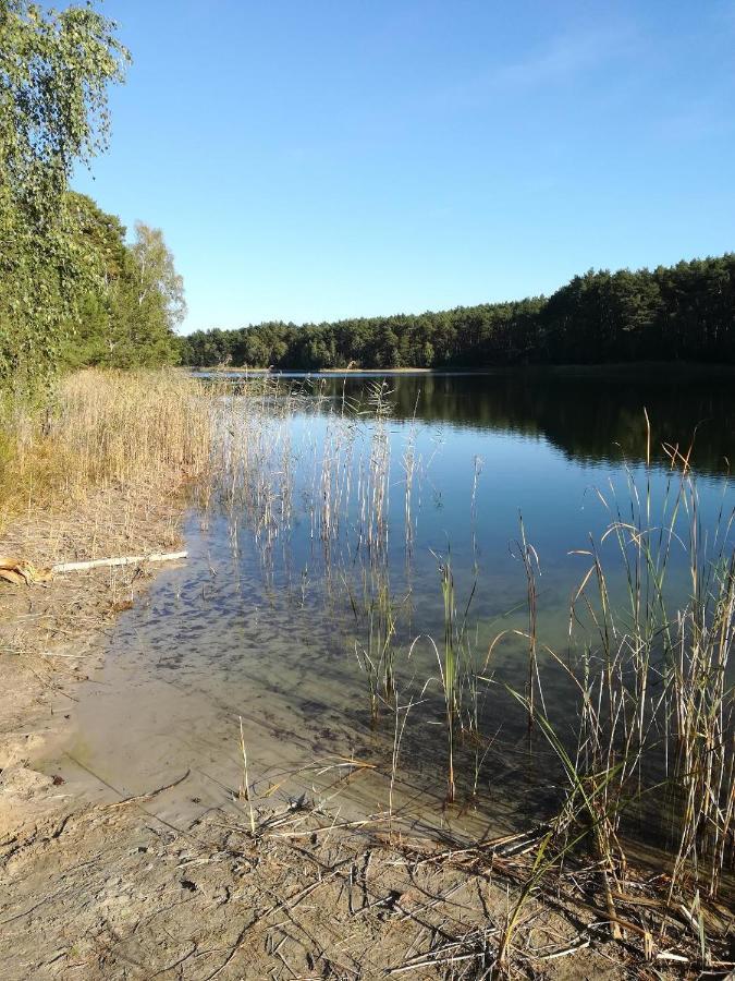 Spreewaldhaeuser Golinski Mit Kamin Am Neuendorfer See Alt Schadow Eksteriør bilde